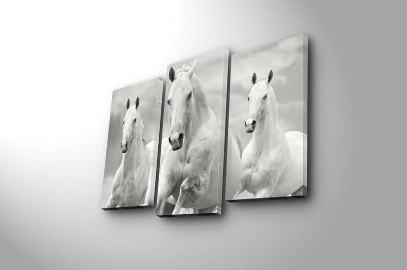 Canvasbilde 3-pk flerfarget - 22x03 cm - Interiør - Maleri & posters - Lerretsbilder