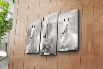 Canvasbilde 3-pk flerfarget - 22x03 cm - Interiør - Maleri & posters - Lerretsbilder