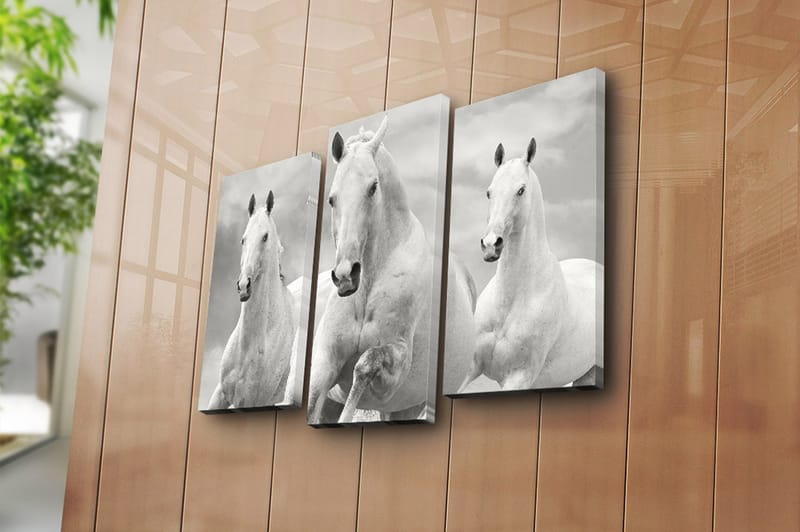 Canvasbilde 3-pk flerfarget - 22x03 cm - Interiør - Maleri & posters - Lerretsbilder