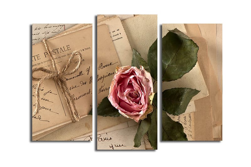 Canvasbilde 3-pk flerfarget - 22x03 cm - Interiør - Maleri & posters - Lerretsbilder