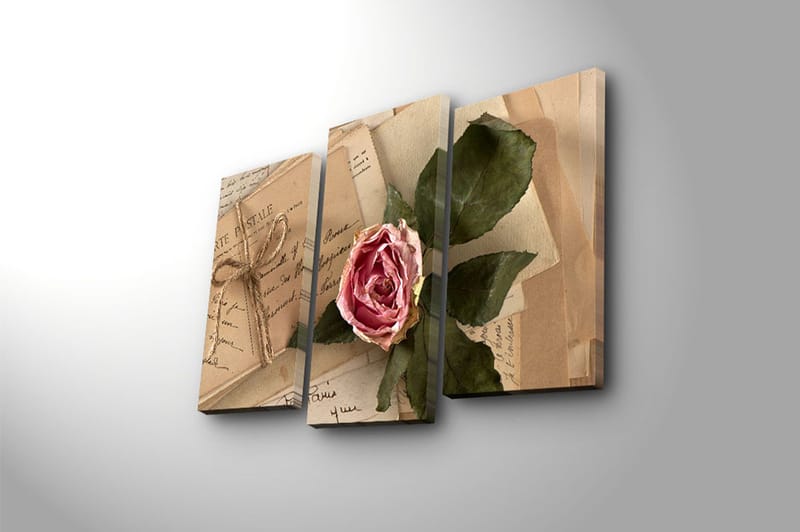 Canvasbilde 3-pk flerfarget - 22x03 cm - Interiør - Maleri & posters - Lerretsbilder