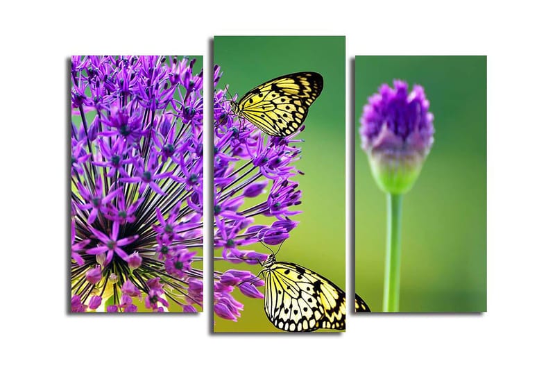Canvasbilde 3-pk flerfarget - 22x03 cm - Interiør - Maleri & posters - Lerretsbilder