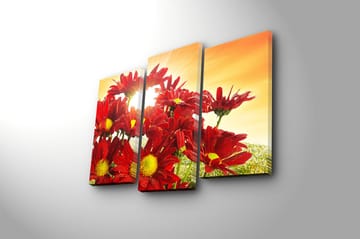 Canvasbilde 3-pk flerfarget - 22x03 cm - Interiør - Maleri & posters - Lerretsbilder