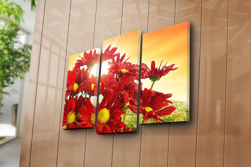Canvasbilde 3-pk flerfarget - 22x03 cm - Interiør - Maleri & posters - Lerretsbilder