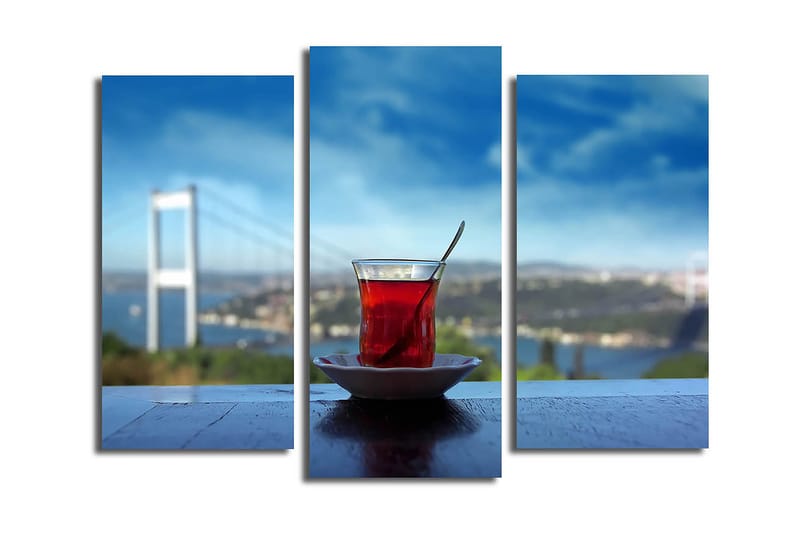 Canvasbilde 3-pk flerfarget - 22x03 cm - Interiør - Maleri & posters - Lerretsbilder