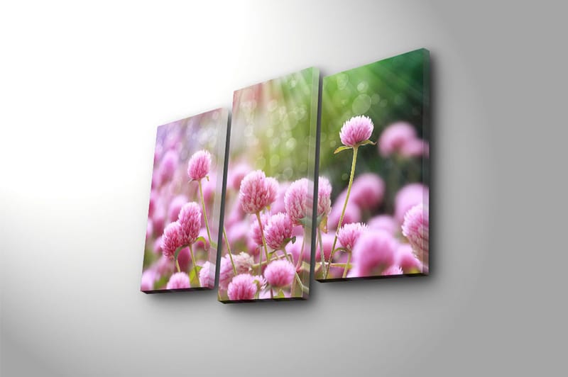 Canvasbilde 3-pk flerfarget - 22x03 cm - Interiør - Maleri & posters - Lerretsbilder