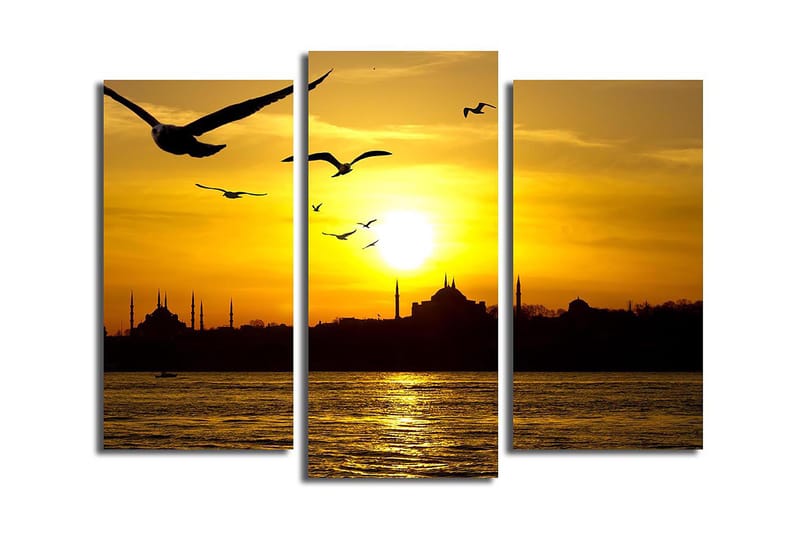 Canvasbilde 3-pk flerfarget - 22x03 cm - Interiør - Maleri & posters - Lerretsbilder