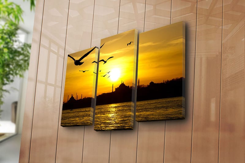 Canvasbilde 3-pk flerfarget - 22x03 cm - Interiør - Maleri & posters - Lerretsbilder