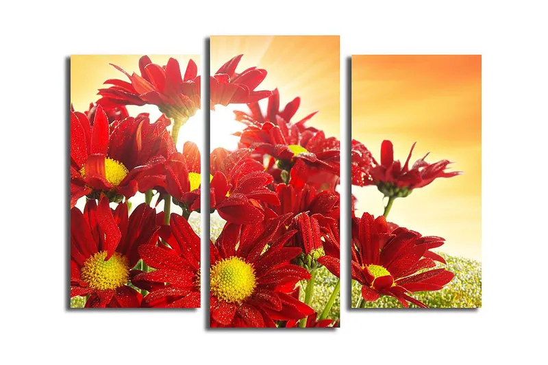Canvasbilde 3-pk flerfarget, 22x03 cm