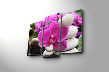 Canvasbilde 3-pk flerfarget - 22x03 cm - Interiør - Maleri & posters - Lerretsbilder