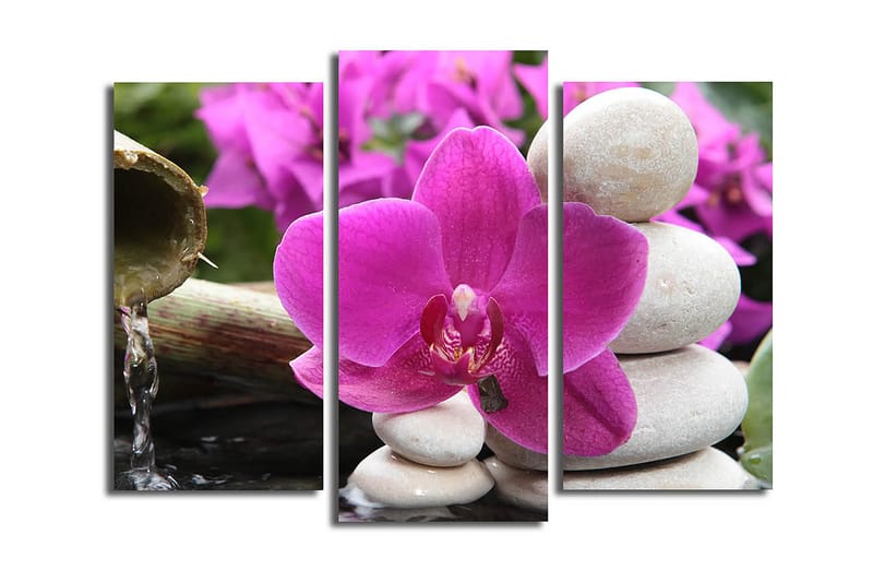 Canvasbilde 3-pk flerfarget - 22x03 cm - Interiør - Maleri & posters - Lerretsbilder