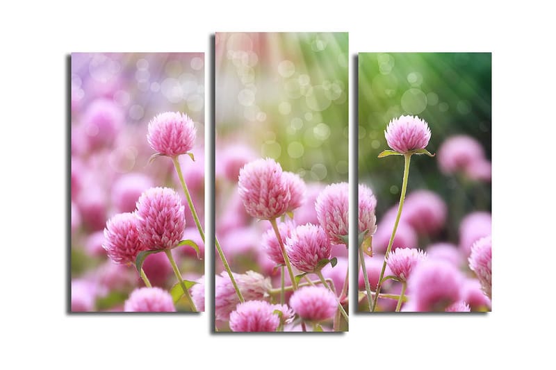 Canvasbilde 3-pk flerfarget, 22x03 cm