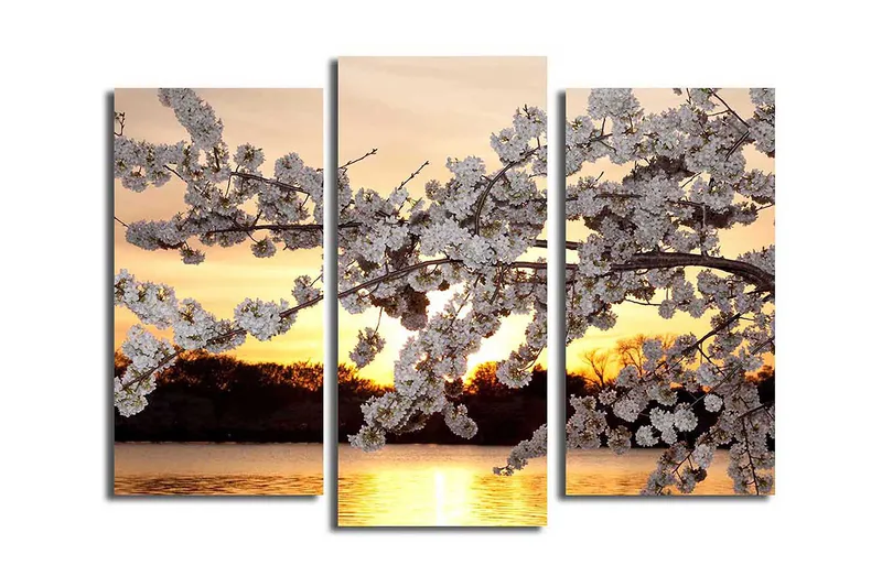 Canvasbilde 3-pk flerfarget, 22x03 cm