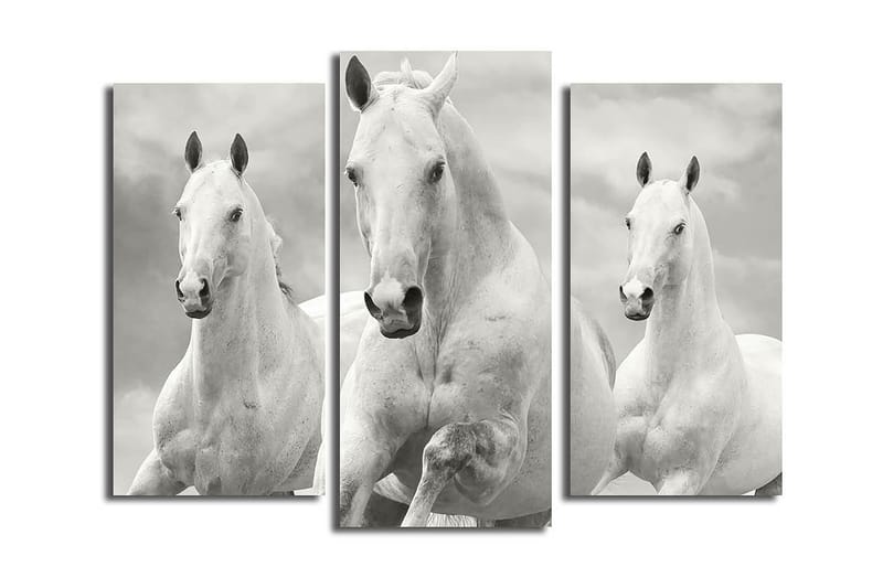 Canvasbilde 3-pk flerfarget, 22x03 cm