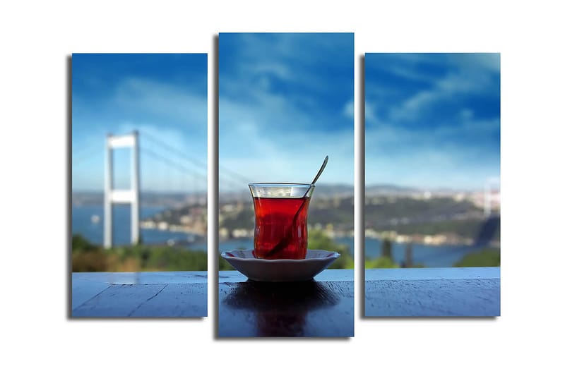 Canvasbilde 3-pk flerfarget, 22x03 cm