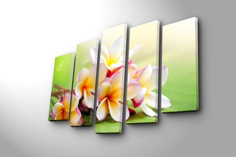 Canvasbilde 5-pk flerfarget - 11x96 cm - Interiør - Maleri & posters - Lerretsbilder