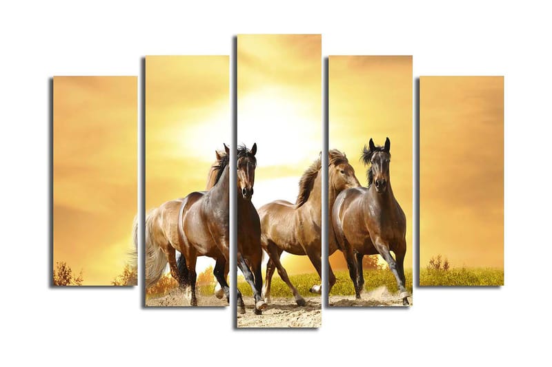 Canvasbilde 5-pk flerfarget - 11x96 cm - Interiør - Maleri & posters - Lerretsbilder