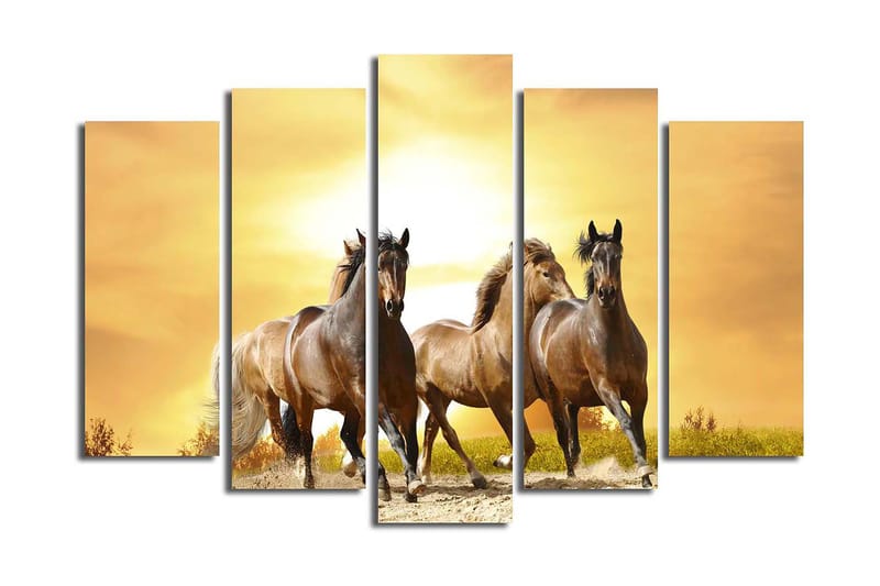 Canvasbilde 5-pk flerfarget, 11x96 cm