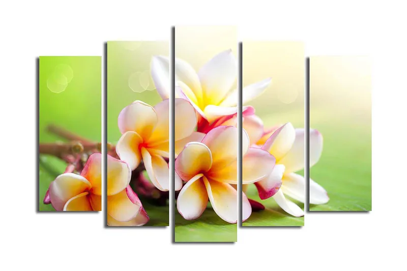 Canvasbilde 5-pk flerfarget, 11x96 cm