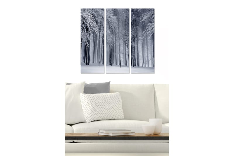 Canvasbilde Abstract 3-pk Flerfarget, 22x05 cm