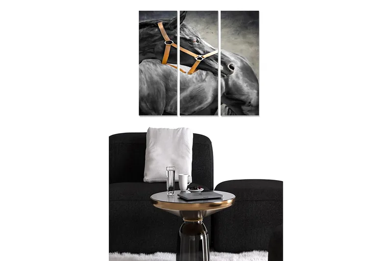 Canvasbilde Animal 3-pk flerfarget, 22x05 cm