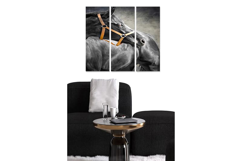 Canvasbilde Animal 3-pk flerfarget - 22x05 cm - Interiør - Maleri & posters - Lerretsbilder