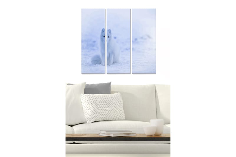 Canvasbilde Animal 3-pk flerfarget - 22x05 cm - Interiør - Maleri & posters - Lerretsbilder