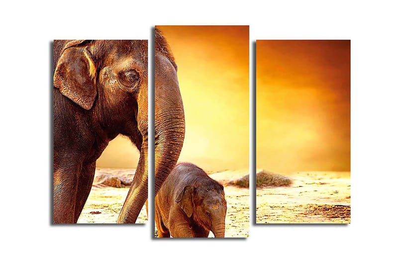 Canvasbilde Animal 3-pk flerfarget - 22x03 cm - Interiør - Maleri & posters - Lerretsbilder