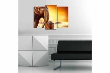 Canvasbilde Animal 3-pk flerfarget - 22x03 cm - Interiør - Maleri & posters - Lerretsbilder