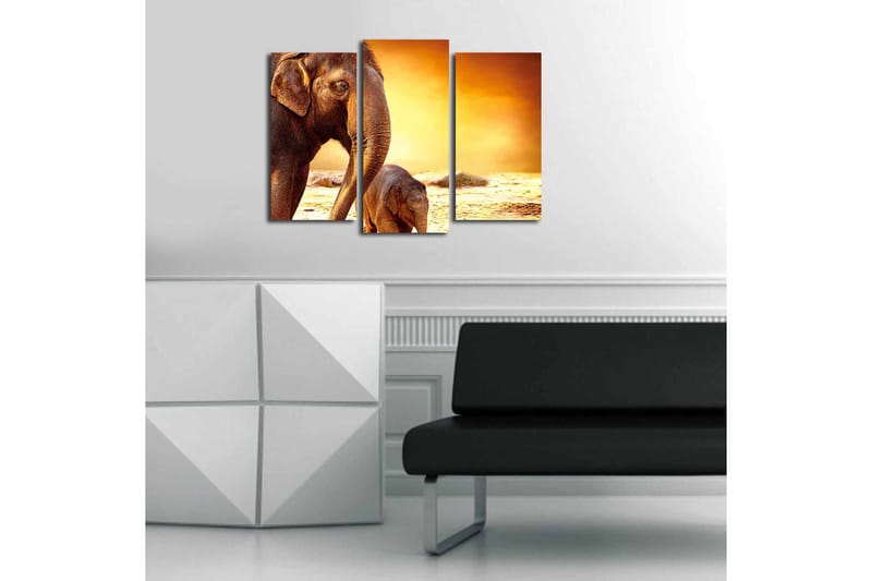 Canvasbilde Animal 3-pk flerfarget - 22x03 cm - Lerretsbilder