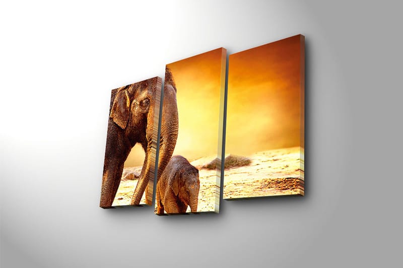 Canvasbilde Animal 3-pk flerfarget - 22x03 cm - Lerretsbilder