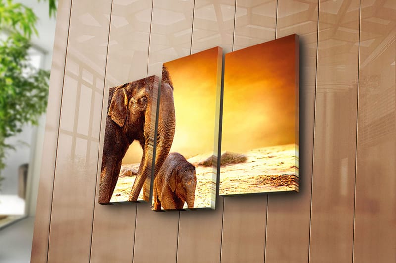 Canvasbilde Animal 3-pk flerfarget - 22x03 cm - Interiør - Maleri & posters - Lerretsbilder