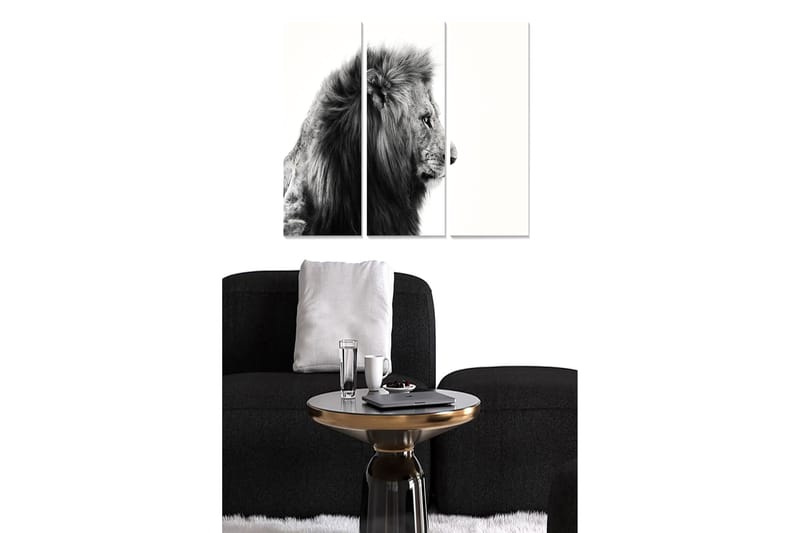 Canvasbilde Animal 3-pk flerfarget - 22x05 cm - Interiør - Maleri & posters - Lerretsbilder