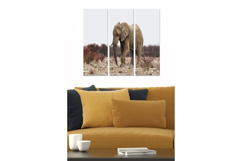 Canvasbilde Animal 3-pk flerfarget - 22x05 cm - Interiør - Maleri & posters - Lerretsbilder