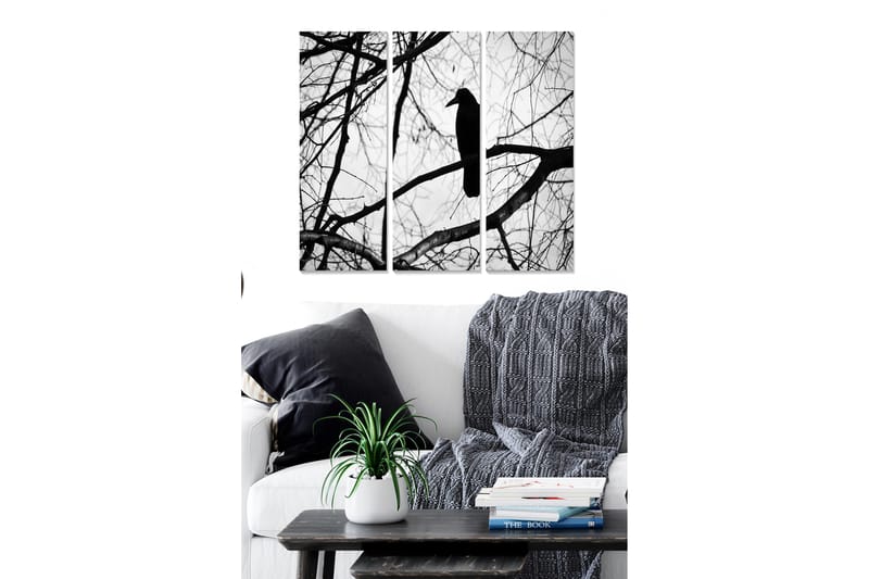 Canvasbilde Animal 3-pk flerfarget - 22x05 cm - Interiør - Maleri & posters - Lerretsbilder