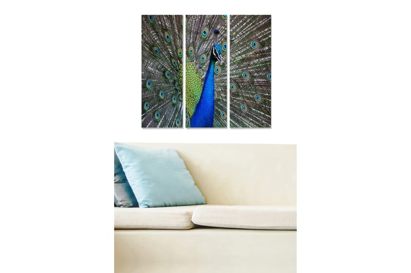 Canvasbilde Animal 3-pk flerfarget - 22x05 cm - Lerretsbilder