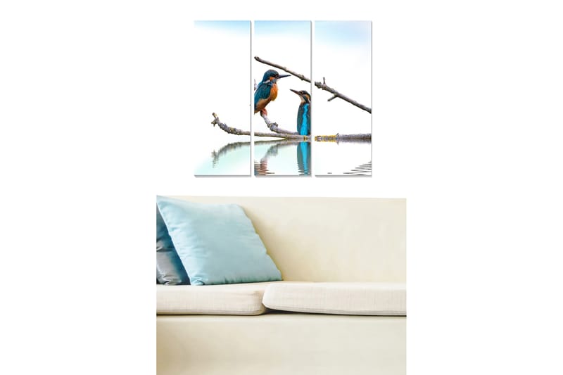 Canvasbilde Animal 3-pk flerfarget - 22x05 cm - Interiør - Maleri & posters - Lerretsbilder