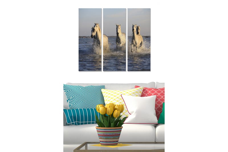 Canvasbilde Animal 3-pk flerfarget - 22x05 cm - Interiør - Maleri & posters - Lerretsbilder