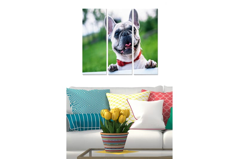 Canvasbilde Animal 3-pk flerfarget - 22x05 cm - Interiør - Maleri & posters - Lerretsbilder