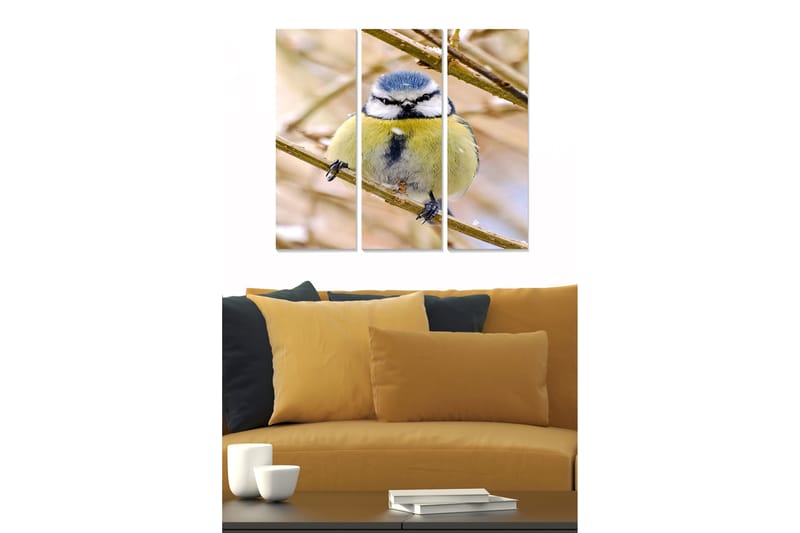 Canvasbilde Animal 3-pk flerfarget, 22x05 cm