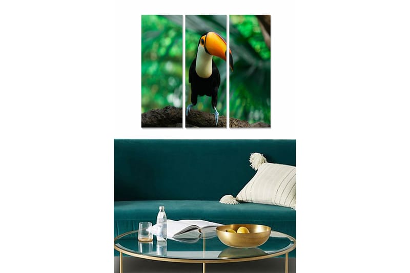 Canvasbilde Animal 3-pk flerfarget - 22x05 cm - Interiør - Maleri & posters - Lerretsbilder