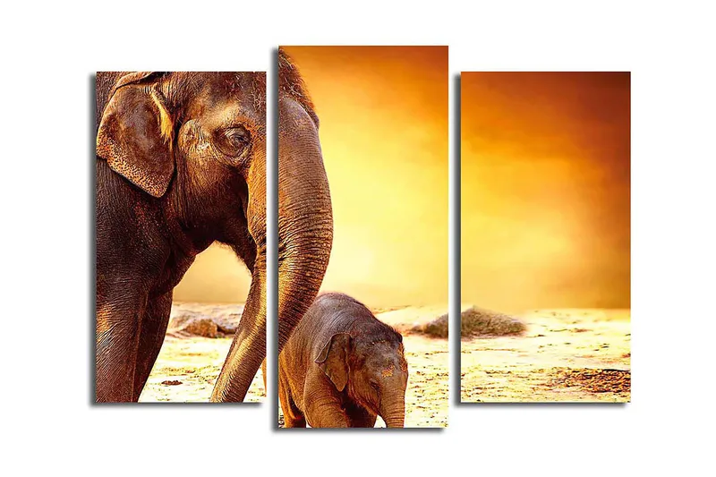 Canvasbilde Animal 3-pk flerfarget, 22x03 cm