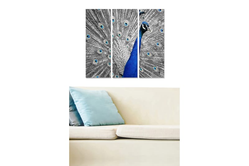 Canvasbilde Animal 3-pk flerfarget, 22x05 cm