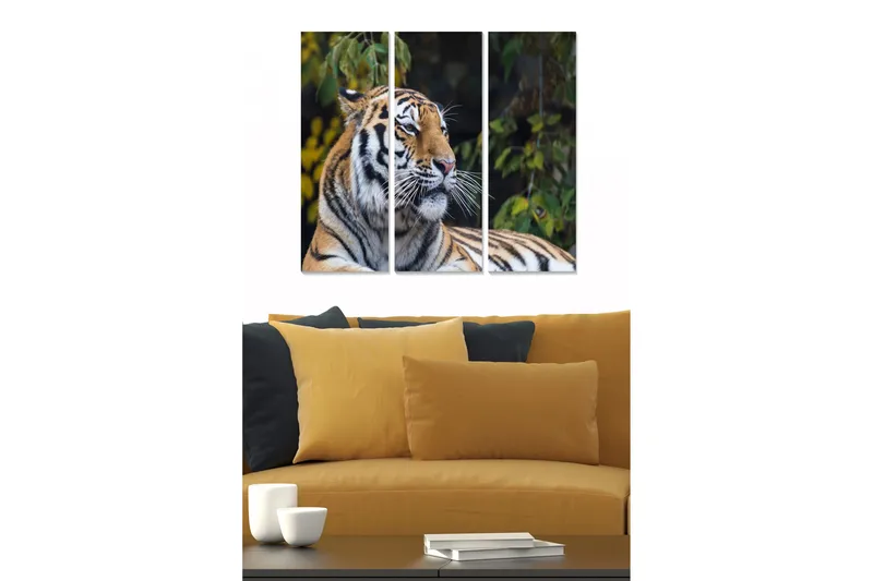 Canvasbilde Animal 3-pk flerfarget, 22x05 cm