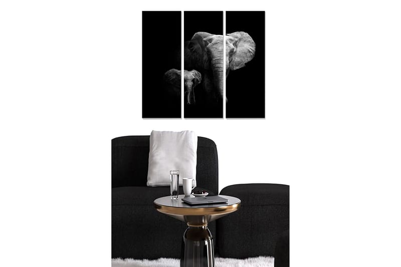 Canvasbilde Animal 3-pk flerfarget, 22x05 cm