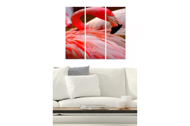 Canvasbilde Animal 3-pk flerfarget, 22x05 cm