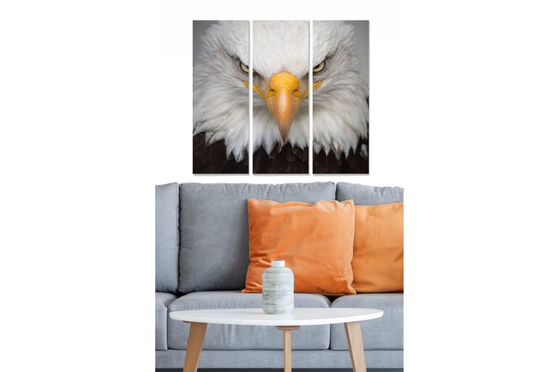 Canvasbilde Animal 3-pk flerfarget, 22x05 cm