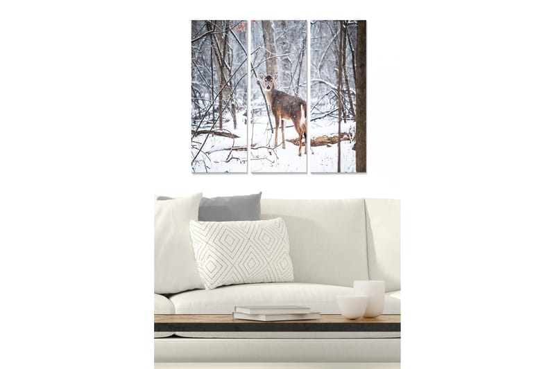 Canvasbilde Animal 3-pk flerfarget, 22x05 cm