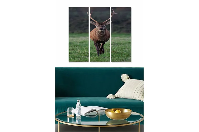 Canvasbilde Animal 3-pk flerfarget, 22x05 cm