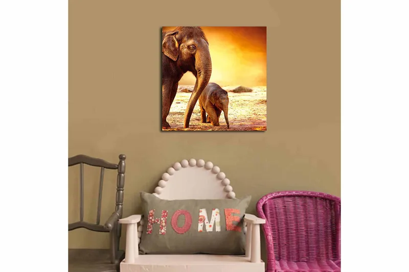 Canvasbilde Animal Flerfarget - 44x54 cm - Interiør - Maleri & posters - Lerretsbilder
